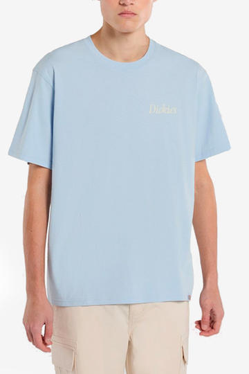Remera de hombre DICKIES COMPANION SCRIP S/S-SKYWAY