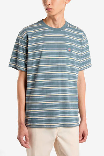 Remera de hombre DICKIES LEWISTOWN STRIPE S/S-STORMY WEATHER