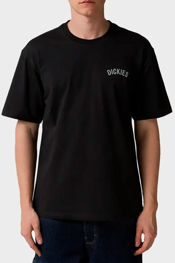 Remera de hombre DICKIES SNAKE S/S -BLACK